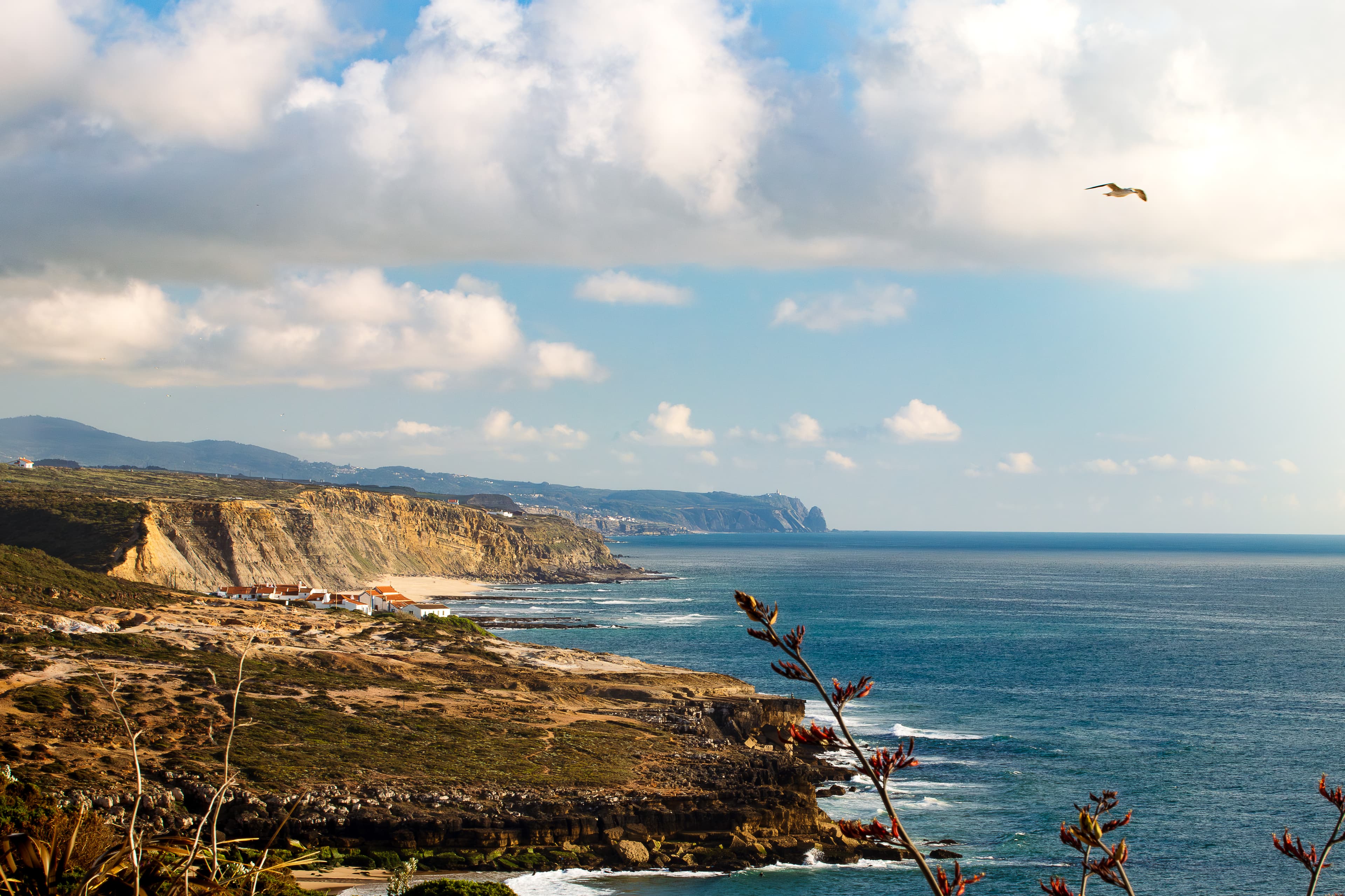 Coastal cliffs at Ericeira